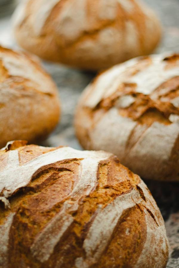 Kai 36 - Hotel Zwischen Fels Und Fluss Грац Экстерьер фото Bread